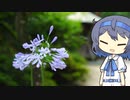 【CeVIO写真】今日も写真でのんびり雑談＿67枚目【愛のアガペンサス】