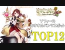 【ソフィーのアトリエ】ソフィーのパンツスポットランキングTOP12