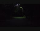 【恐怖】公園を歩いてたら突然・・・