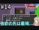 #14【女性実況】ドラゴンクエスト2で癒される！強欲の先は墓場【DQ2】
