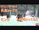 【FF11】【えびせん】外見シーフで★神竜いってみた　モンク　101