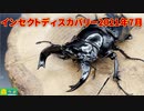 昆虫即売会に行ってきました！インセクトディスカバリー2021年7月
