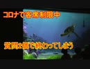 【コロナで客席制限中】質問2個で終わってしまう【タートルトーク】東京ディズニーシー