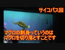 【サイコパス】マグロの刺身っていうのは、マグロを切り落とすことです【タートルトーク】東京ディズニーシー