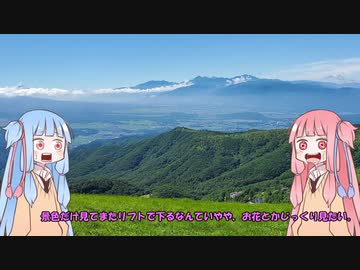 初心者ドライバー葵、走る「ビーナスライン～車山」