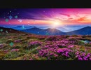 【抹茶】再教育【歌ってみた】