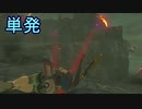 【実況】ハイラル城でコログを探す 【単発】
