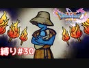 巨大なイカを倒してスルメにしようとしたら、消えてなくなった【ドラゴンクエスト11S】縛り初見プレイ＃30