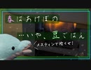 【字幕版】豆ごはん炊いてみた【ダイソーメスティンで】
