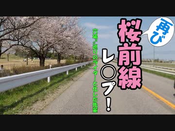再び桜前線レ◯プ！穴場♂巡りのライダーと化した先輩