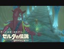 思うがままに旅をする【ゼルダの伝説 BotW】Part 11