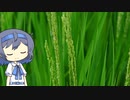 【CeVIO写真】今日も写真でのんびり雑談＿69枚目【稲の花言葉】