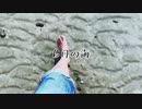 【MV】6月の海 / 秋桜不可思議