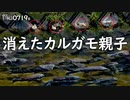 0719B【消えたカルガモ親子】雛鳥と鯉の大群。コイが丸呑みお菓子。カラスの捕食。カワラヒワの鳴き声。　鶴見川水系恩田川でコンデジ野鳥撮影　#身近な生き物語　#カルガモ親子　#コンデジ