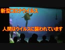 【新型コロナ】人間はウイルスに襲われています【タートルトーク】東京ディズニーシー