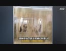鄭州地下鉄水没事故・生存者「もっと早く窓を割るべきだった」
