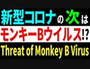 新型コロナの次はモンキーBウイルス!?