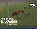【ゼルダの伝説ブレスオブザワイルド】写真が撮れるようになりました【実況プレイ】#26