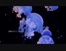 yuu(ui) -月 arrange cover/FLOWER FLOWER
