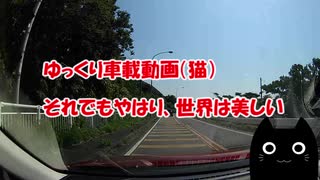 ゆっくり車載（猫）　Part1　真夏ドライブ！　それでもやはり世界は美しい！　与板～ながおか花火館・越後七浦シーサイドライン