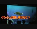 クラッシュの隠し事はなに？【タートルトーク】東京ディズニーシー