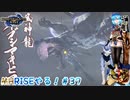 【実況】MHRISEやる！【37】