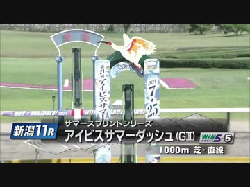 【ウマ娘風】第21回GⅢアイビスサマーダッシュ(2021)