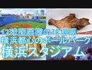 【ハマスタ】とある野球ファンの野球観戦記 @横浜スタジアム20/10/04【球場飯】