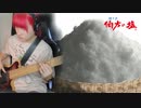 「伯方の塩」ベース演奏