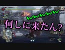 【MHRISE】狩猟防衛軍 廻-kai- part5