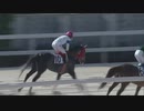 【Ｃ３一３歳以上】ゴルシ産駒・シュルシャガナの末脚