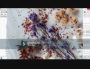 【私と練習してくれますか？】Trp2パート　ドライフラワー　ミュージックエイトQH-1770