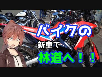 バイクの！新車で！林道へ！　ささらん車載でpart33