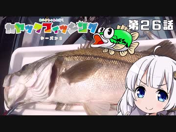 【VOICEROIDフィッシング】あかりちゃんと行くカヤックフィッシング第26話