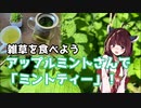 【思い切って野草を食べてみよう】#27 アップルミントさんで「ミントティー」！