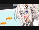 あかりちゃんと金魚