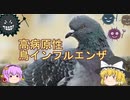 ゆっくり感染症講座[高病原性鳥インフルエンザ等]