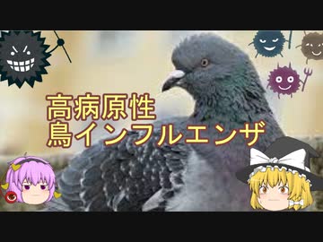 ゆっくり感染症講座[高病原性鳥インフルエンザ等]