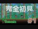 【女性実況】友人と大学最後の夏休みをエンジョイ#1【terraria テラリア】