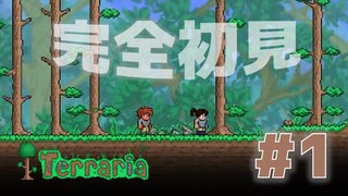 【女性実況】友人と大学最後の夏休みをエンジョイ#1【terraria テラリア】