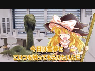 【トラウマブレイカー】SCP-596 - 忌まわしき再生の像【ゆっくりSCP解説】