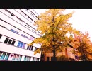 Nostalgic Everyday Scenery