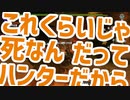 【MHXX】とある企業の狩猟生活　33日目【実況】