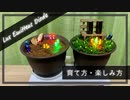 LED(エルィーディ)の育て方・楽しみ方【Electrorganism】