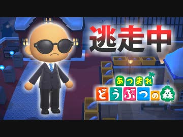 【あつ森】逃走中を森でやってみた ダイオウグソクムシ編 inクリーム島【実況】あつまれどうぶつの森