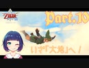 アクション大混乱！そして｢大地｣へ！【ゼルダの伝説 スカイウォードソードHD】Part１０