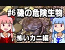 【琴葉姉妹の磯遊び】#6磯の危険生物　怖いカニ編【VOICEROID解説】