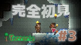 【女性実況】友人と大学最後の夏休みをエンジョイ#3【terraria テラリア】