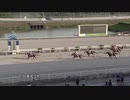 2021年7月31日高知競馬5R ＪＢＣ協会協賛高知佐賀スタリオンシリーズ エピカリス賞(準重賞) クラウンシャイン