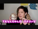 のばまんですかぞね【scarlet zone】